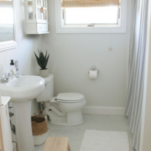 Bathroom Refresh on a budget